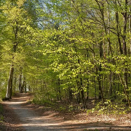 4b Blue Marine Basen Brodziki Plac Zabaw The Of Przy Plaz Lägenhet Poddąbie