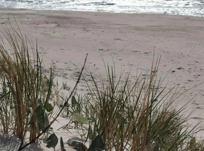 Lägenhet 4b Blue Marine Basen Brodziki Plac Zabaw The Of Przy Plaz